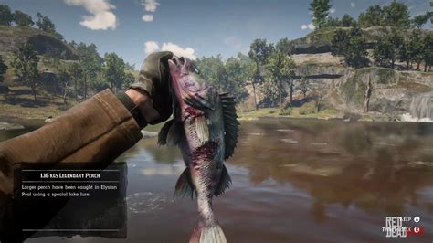rdr2 fish|rdr2 fish prices.